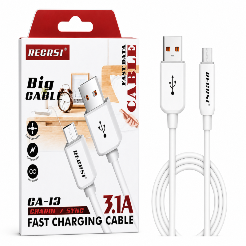 RECRSI CA-13 3.1A Fast Charging Micro USB Data Cable
